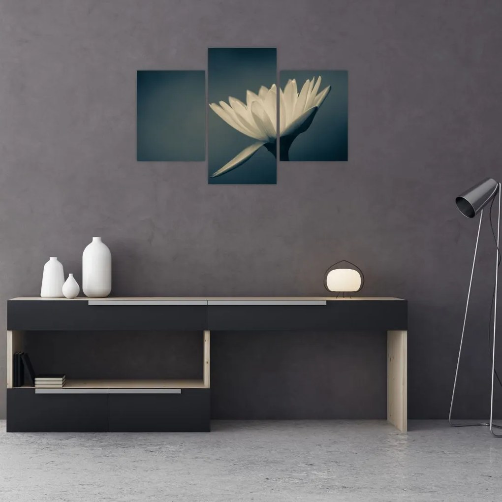 Tablou cu flori (90x60 cm)