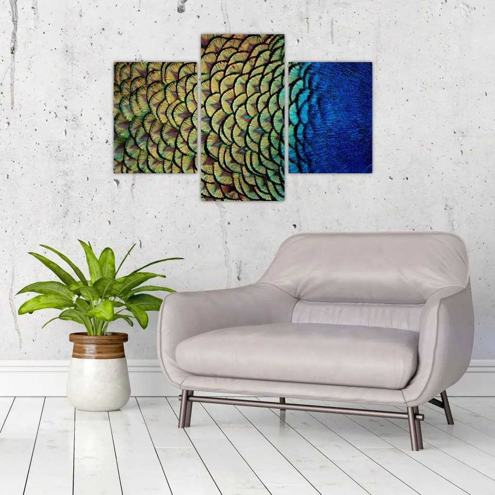 Tablou - Pene de păun (90x60 cm)