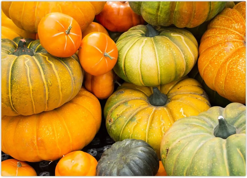 Tablou - Dovleac de toamnă (70x50 cm)