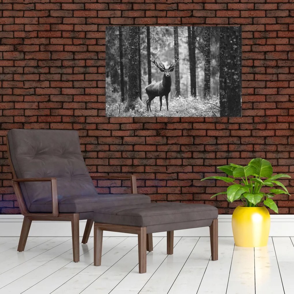 Tablou - Căprioare in pădure 2,alb-negru (90x60 cm)