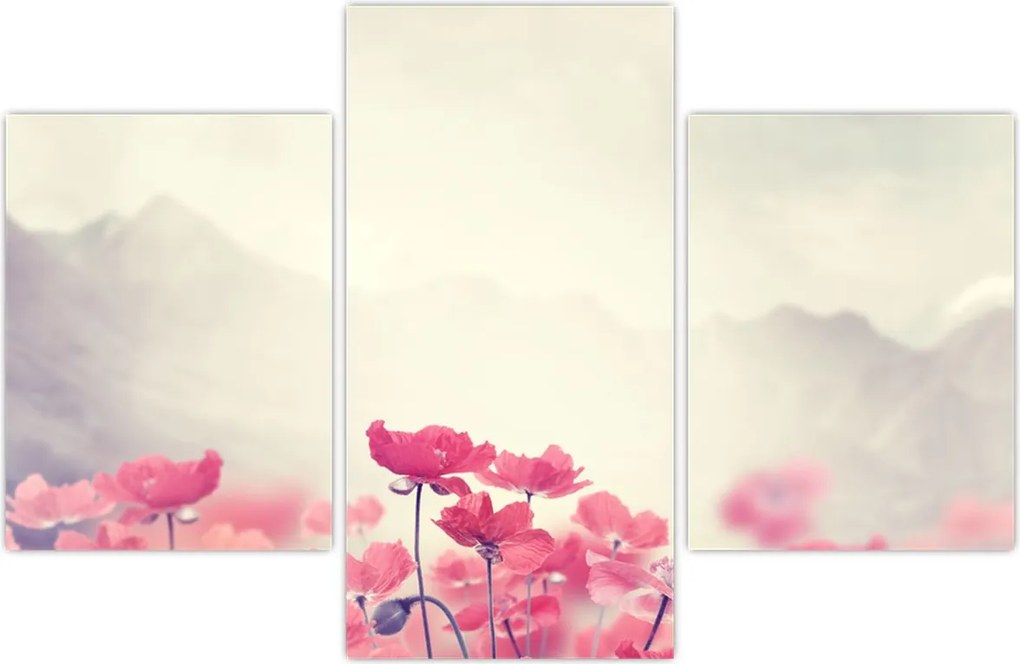 Tablou - Maci (90x60 cm)