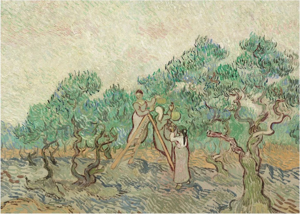 Tablou - Vincent van Gogh, The Olive Orchard, reproducere (70x50 cm)