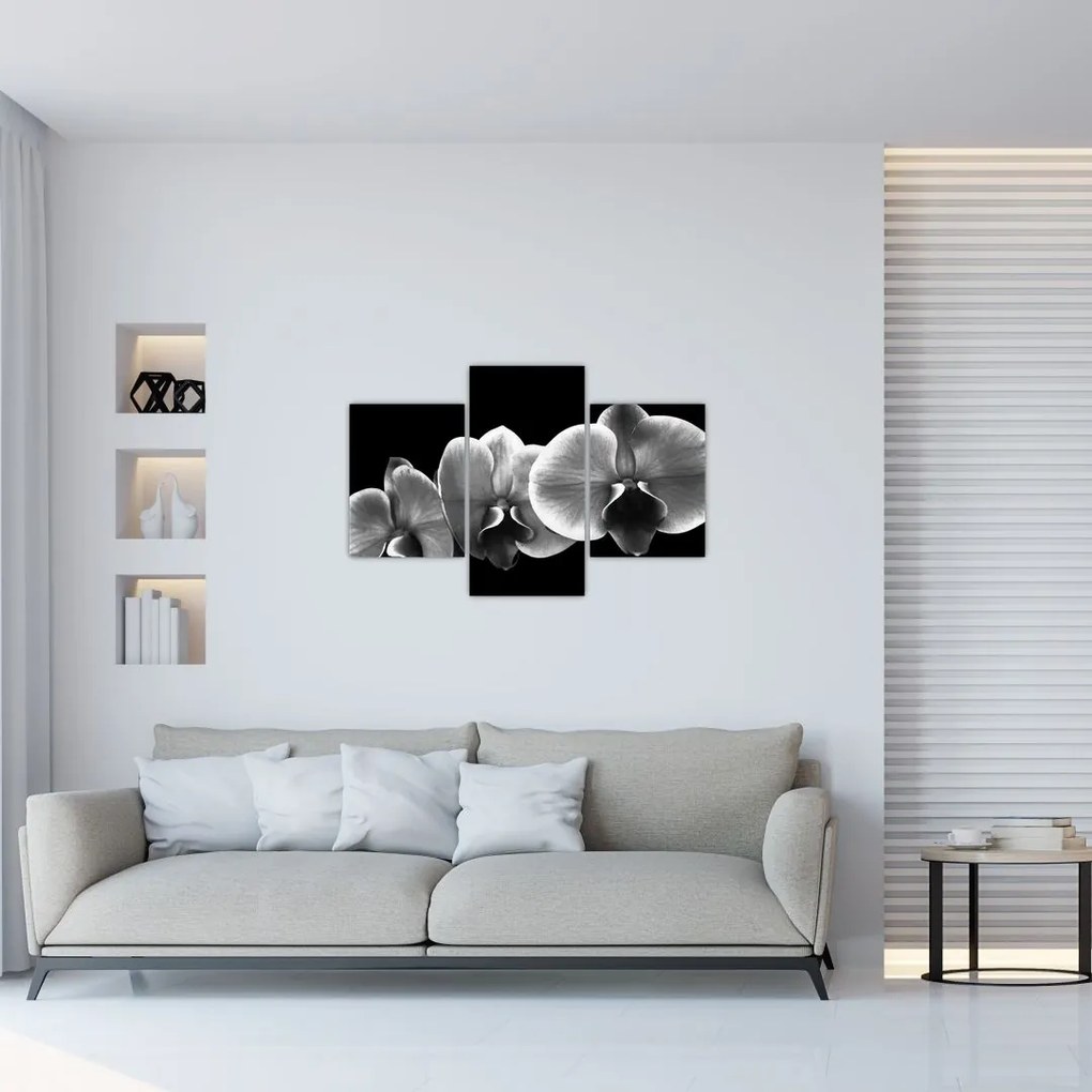 Tablou floare de orhidee (90x60 cm)