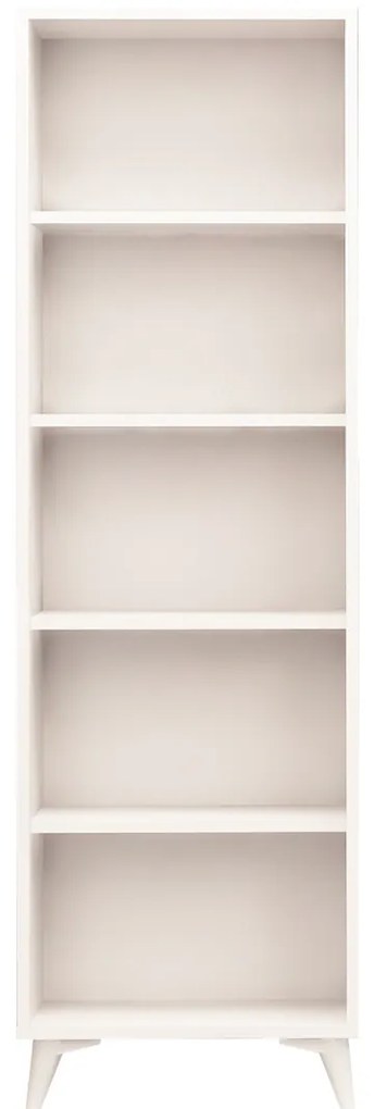Biblioteca Potena
