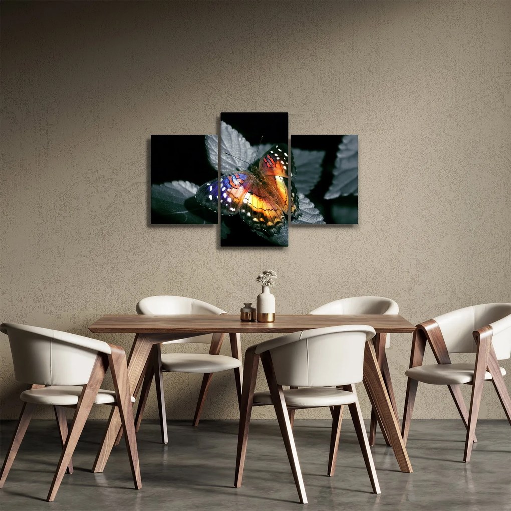 Tablou cu fluture (90x60 cm)