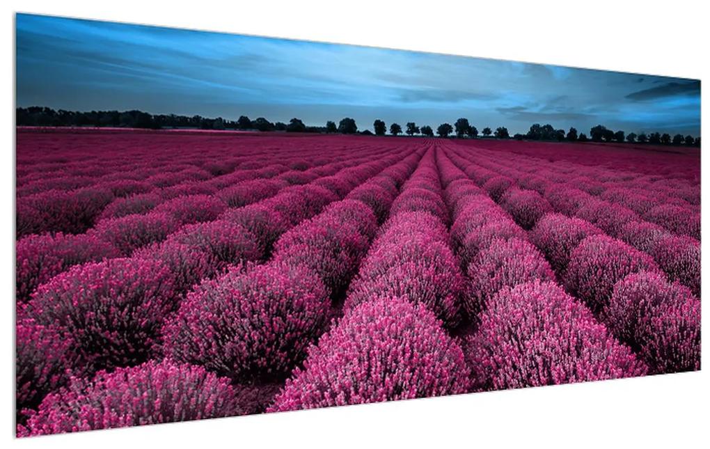 Tablou cu cîmp de flori (120x50 cm), în 40 de alte dimensiuni noi