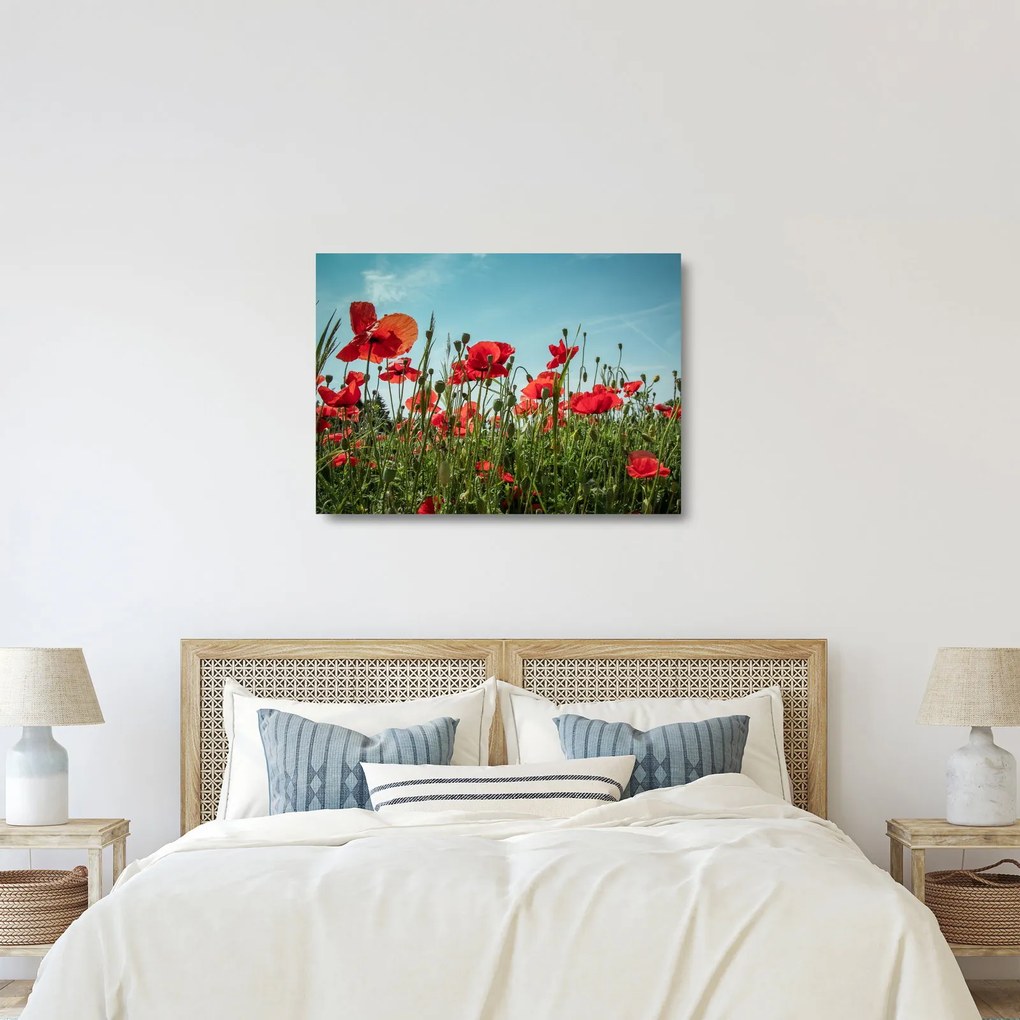 Tablou pe sticlă - Pe câmpul cu maci (70x50 cm)
