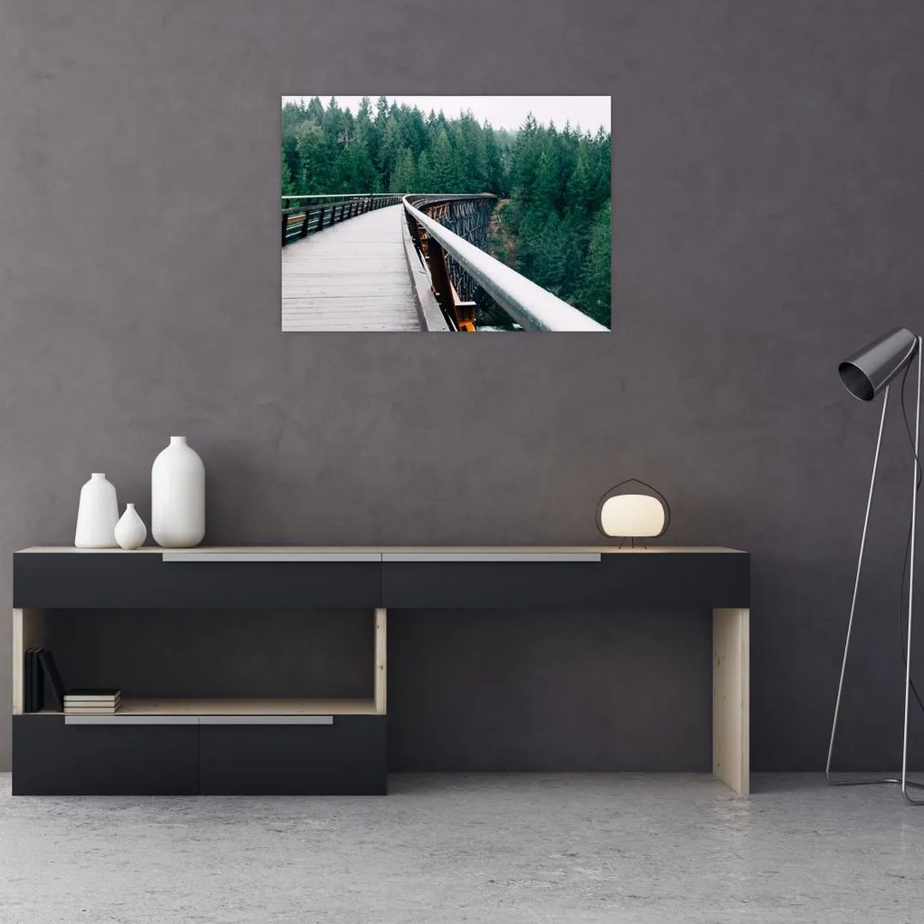 Tablou pe sticlă - Pod spre vârfurile copacilor (70x50 cm)