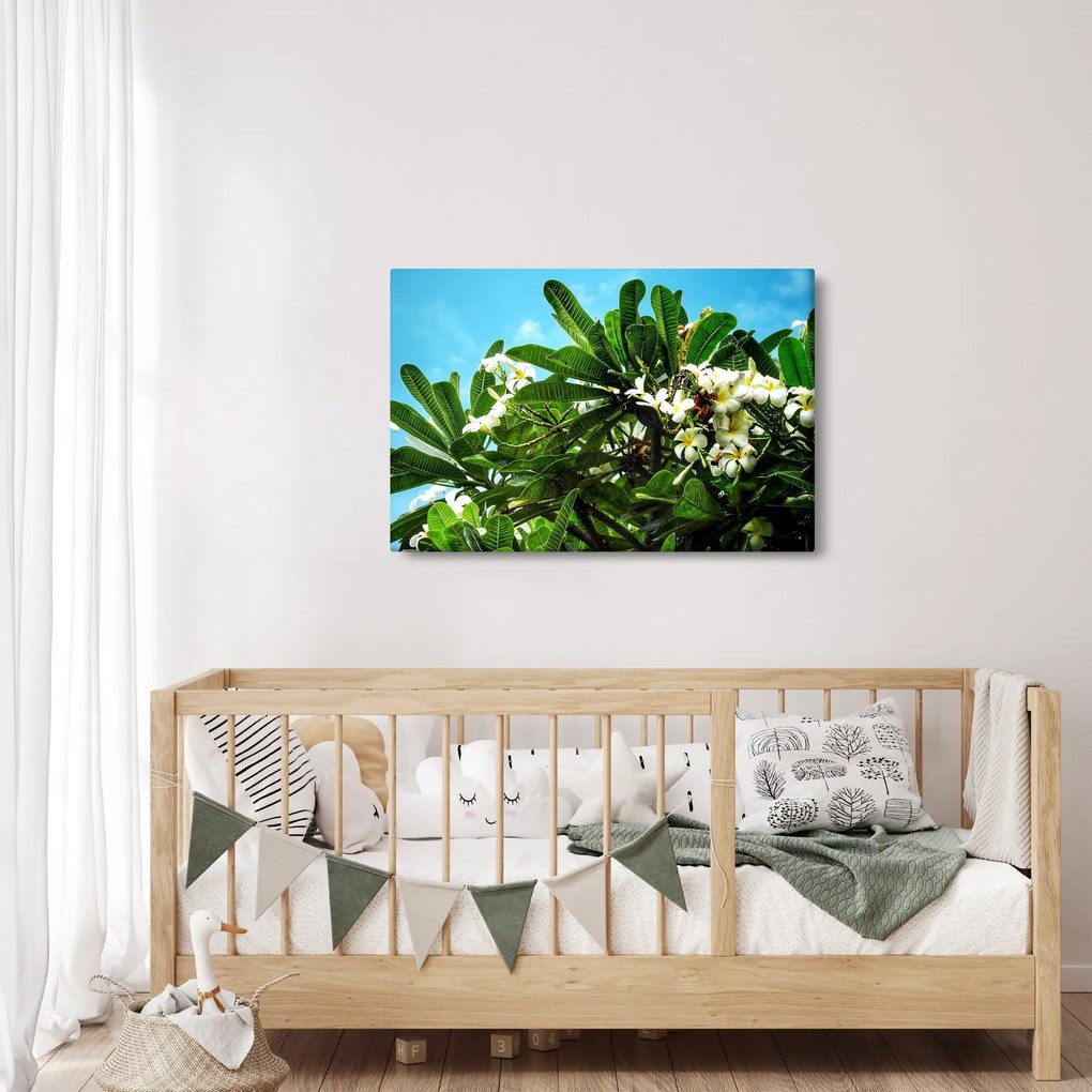 Tablou - Plumeria (90x60 cm)