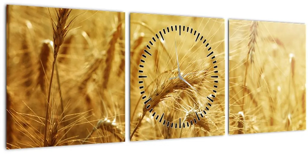 Tablou - Spice de cereale (cu ceas) (90x30 cm)
