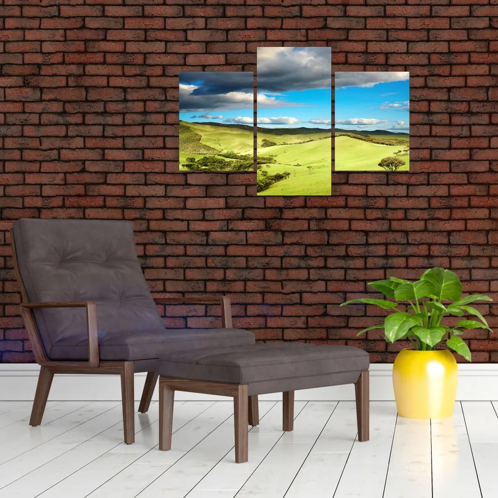 Tablou - Peisaj verde cu dealuri (90x60 cm)