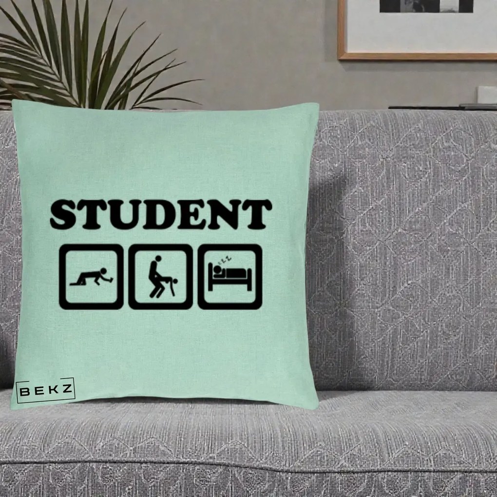 Perna Decorativa Student Life, 40x40 cm, Verde Menta, Husa Detasabila, Perna Inclusa, BEKZ®