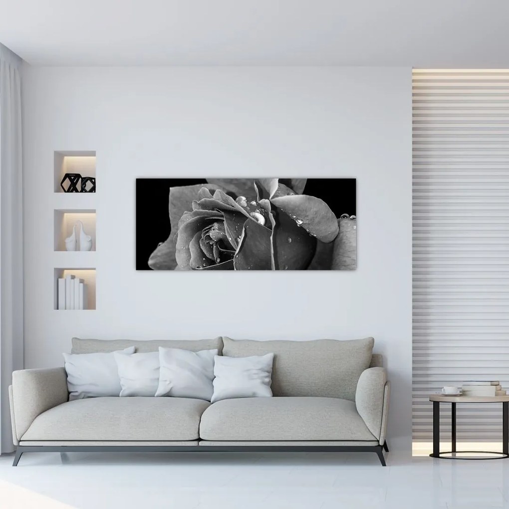 Tablou cu trandafir - albneagră (120x50 cm)