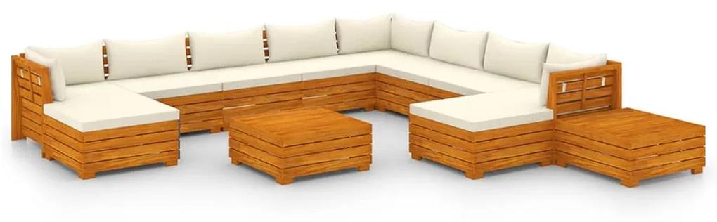 3087296 vidaXL Set mobilier grădină cu perne, 12 piese, lemn masiv de acacia
