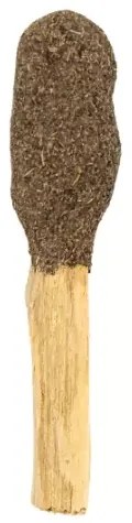 Lemn de Palo Santo si Rozmarin 12cm