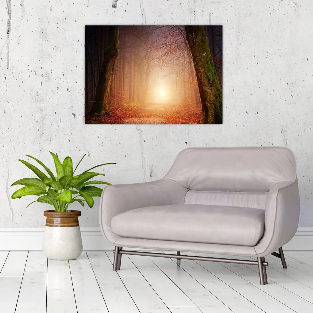 Tablou cu pădurea toamna în ceață (70x50 cm)