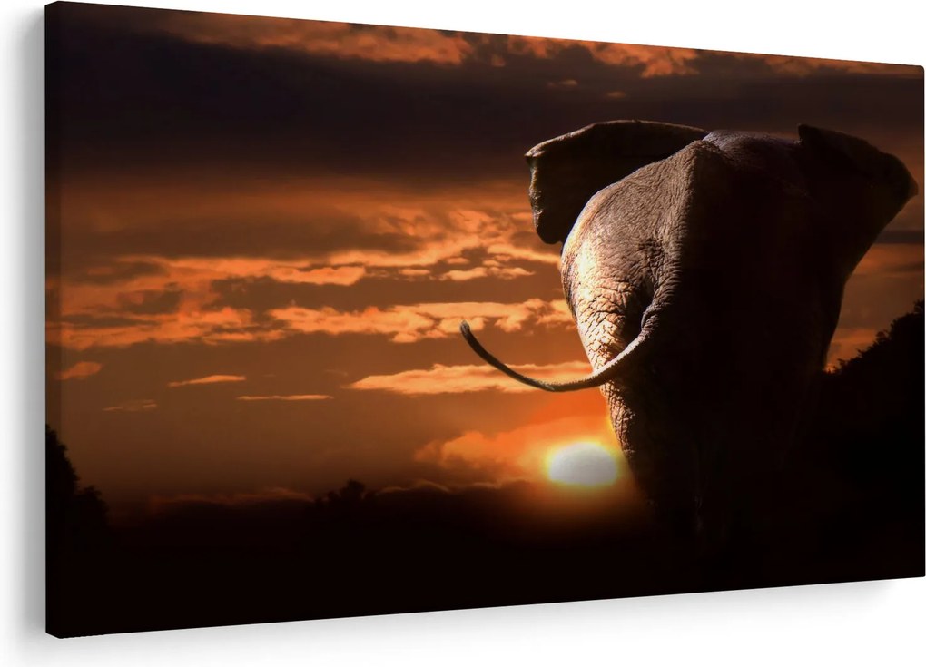 Tablou cu elefant (90x60 cm)