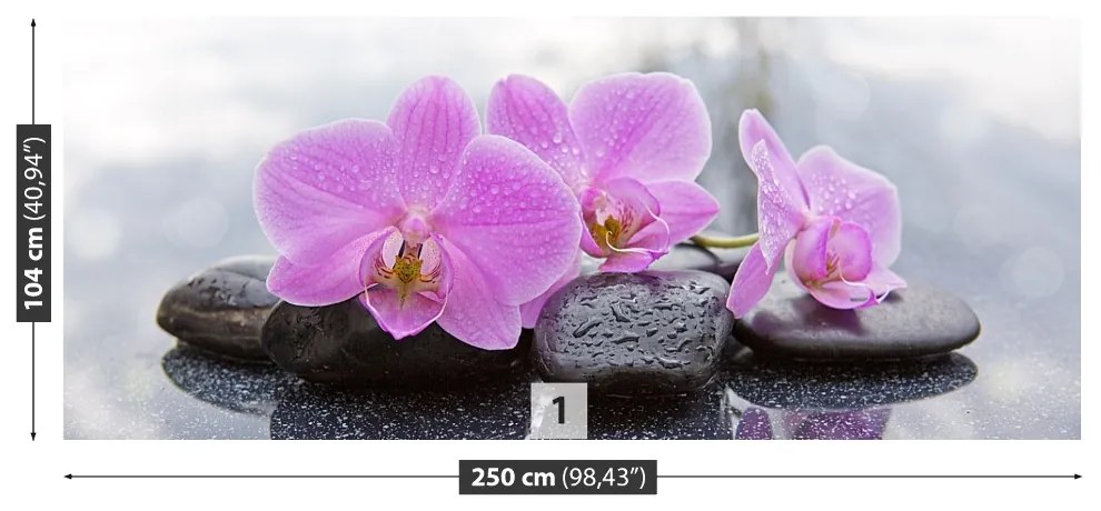 Fototapet Orchid Stones