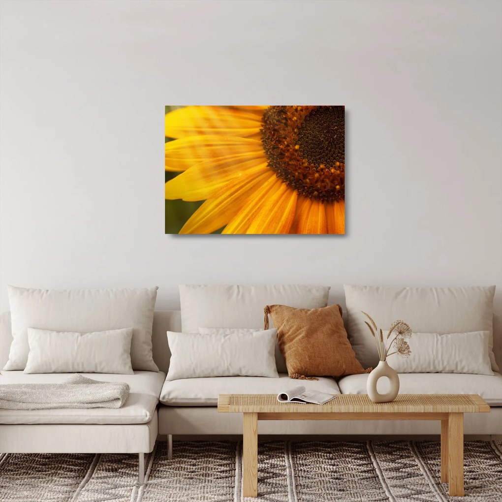 Tablou pe sticlă - Floarea-soarelui (70x50 cm)