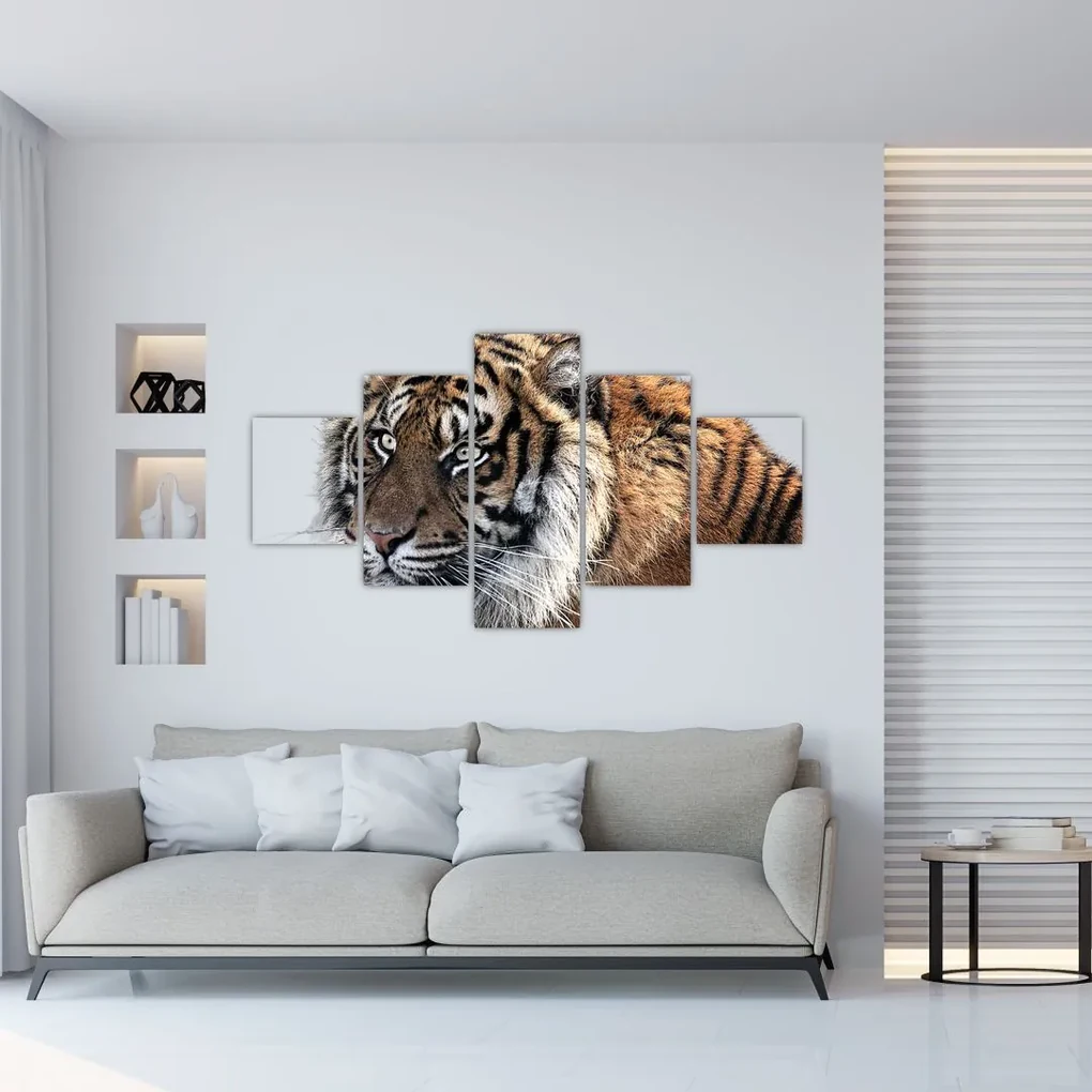 Tablou cu tigrul (125x70 cm), în 40 de alte dimensiuni noi