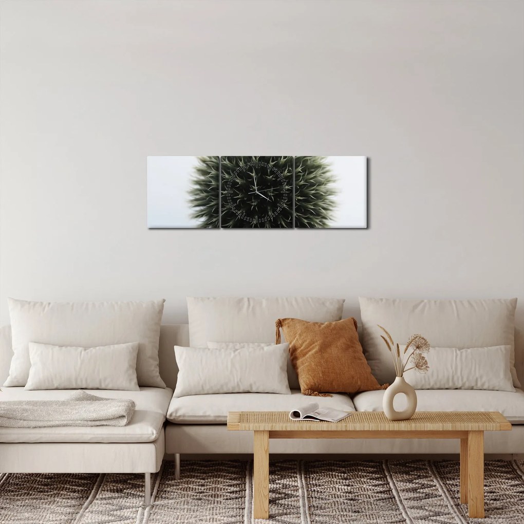 Tablou - Sfere de flori (cu ceas) (90x30 cm)