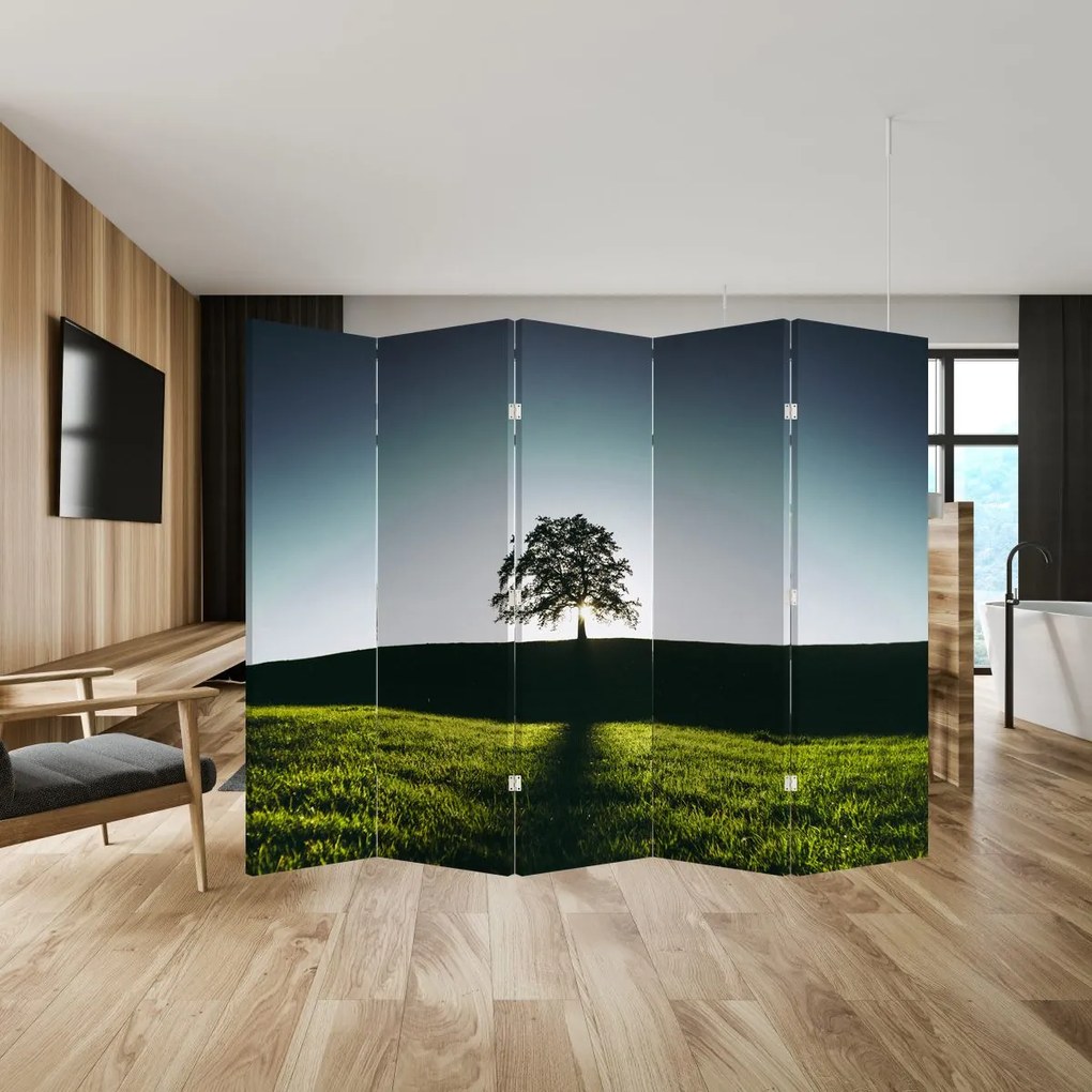 Paravan - Copac (210x170 cm)