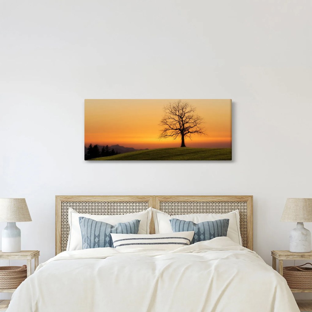 Tablou cu apus de soare pe o luncă (120x50 cm)