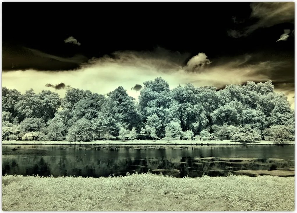 Tablou suprafeței de apă (70x50 cm)