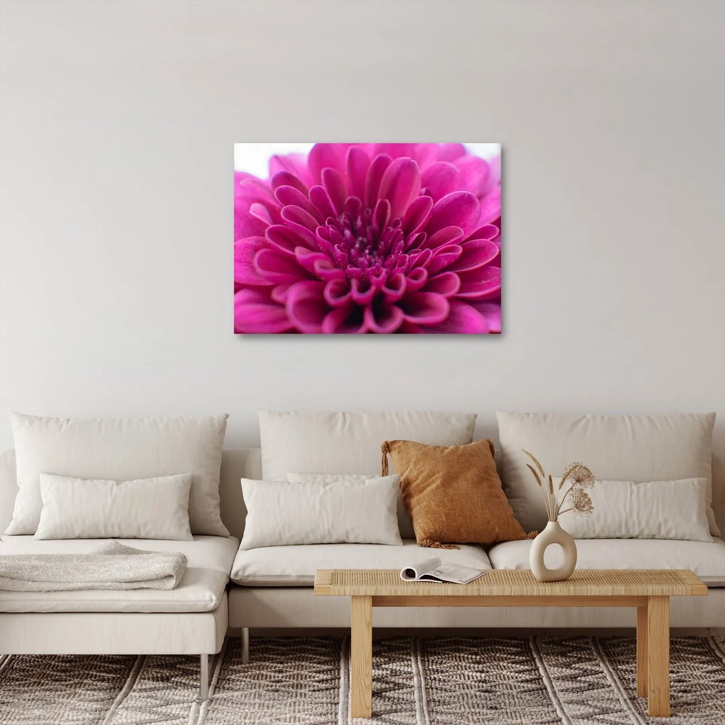 Tablou cu floare (70x50 cm)