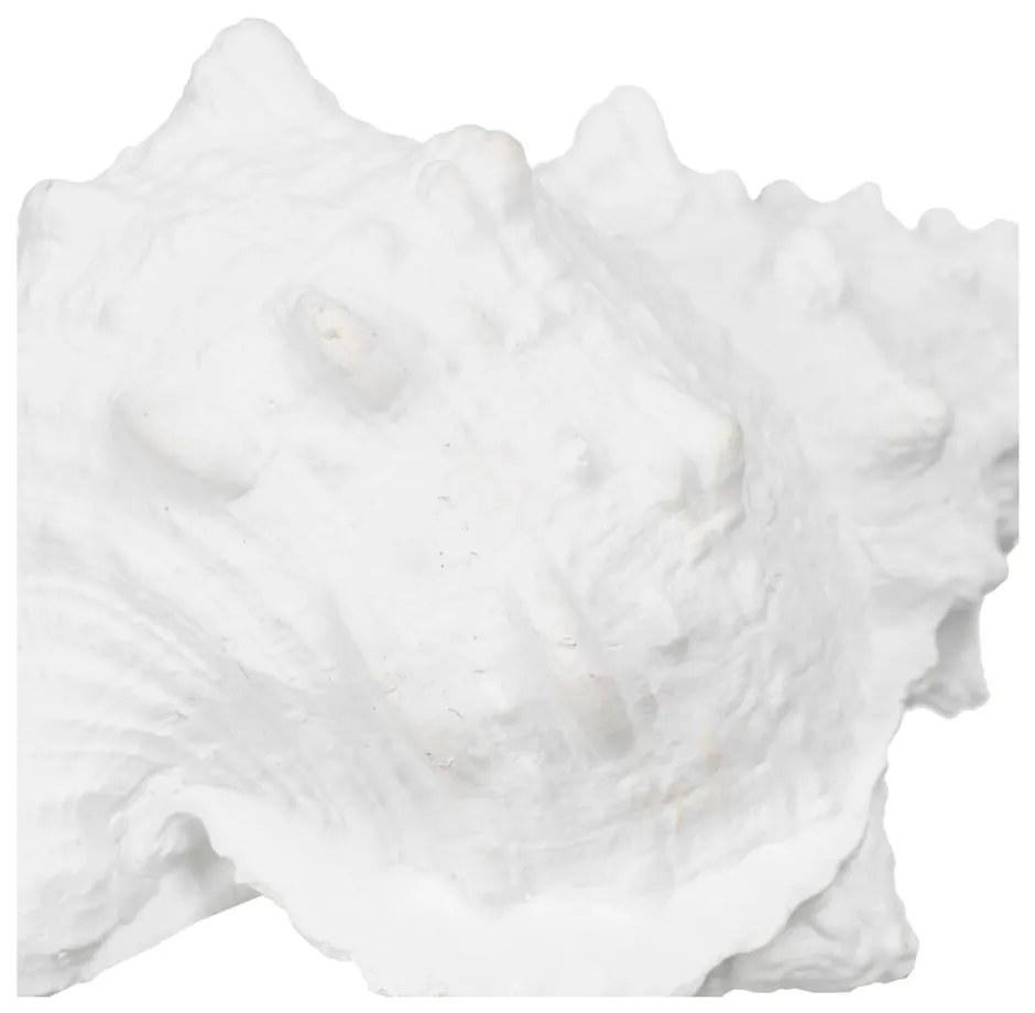 Statuetă din polirășină (înălțime 12 cm) Seashell – Ixia