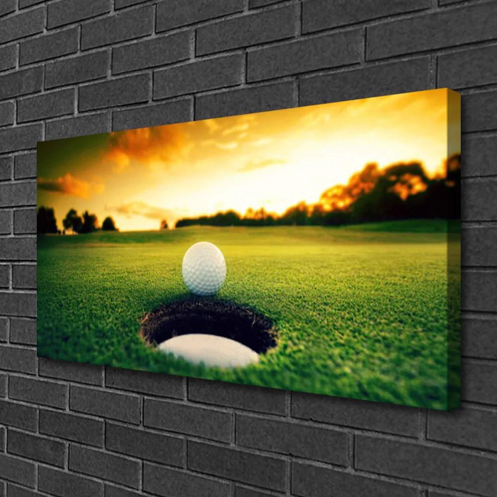 Tablou pe panza canvas Golfball spații verzi Natura Verde Galben