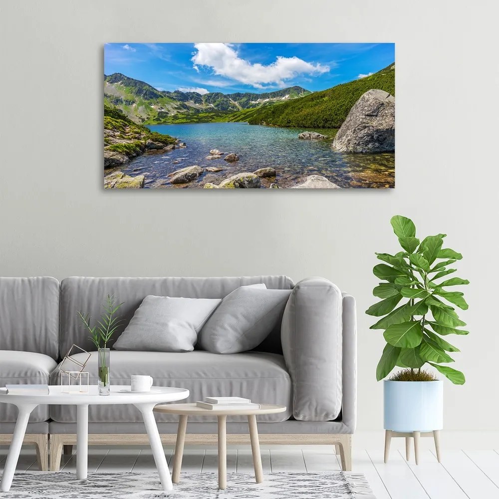 Print pe canvas Tatra valley