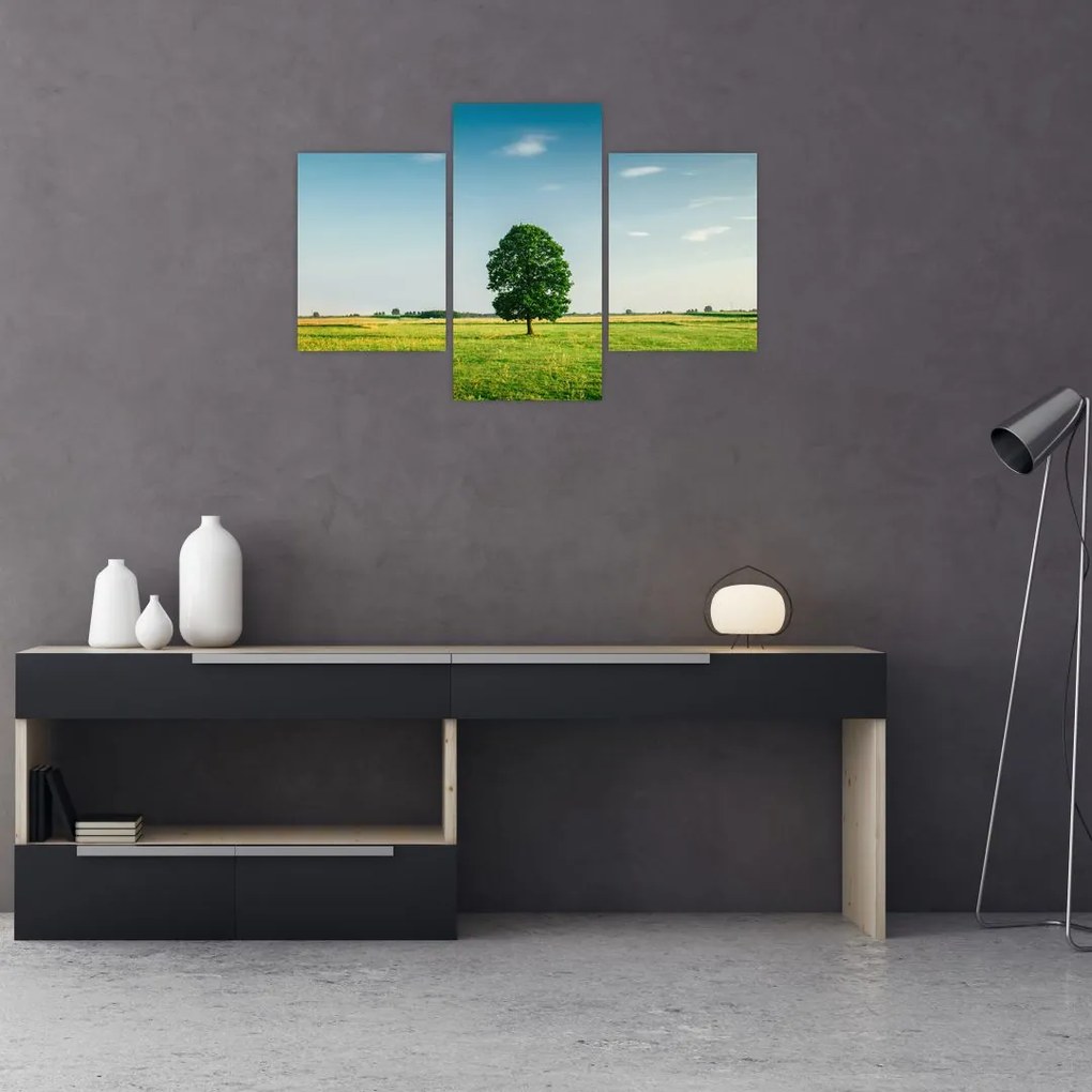 Tablou cu copaci pe luncă (90x60 cm)