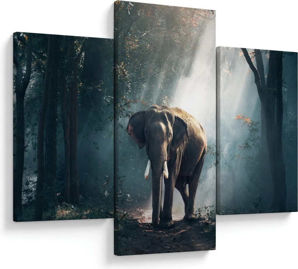 Tablou cu elefant în djunglă (90x60 cm)