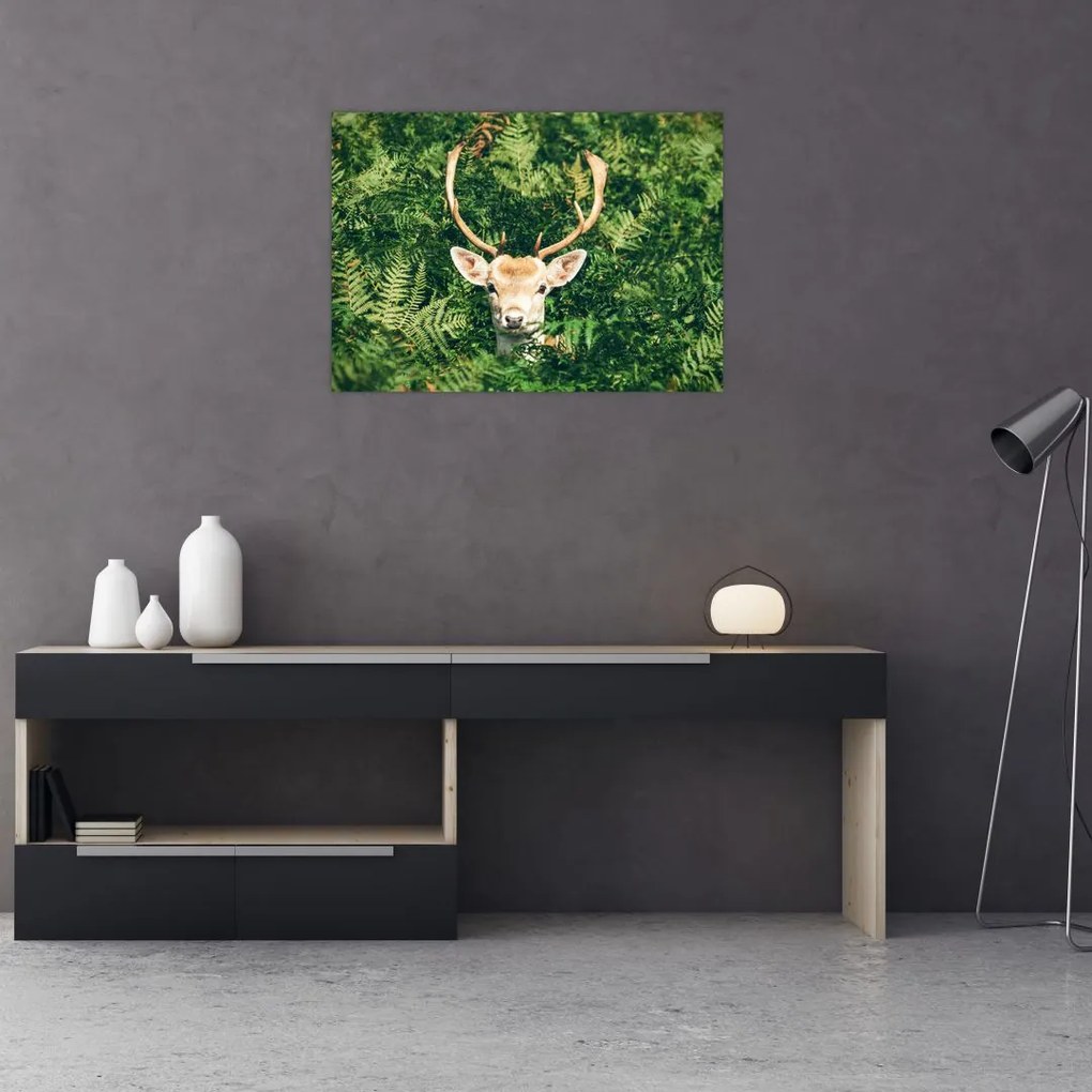 Tablou detaliu cu cap de căprioară (70x50 cm)