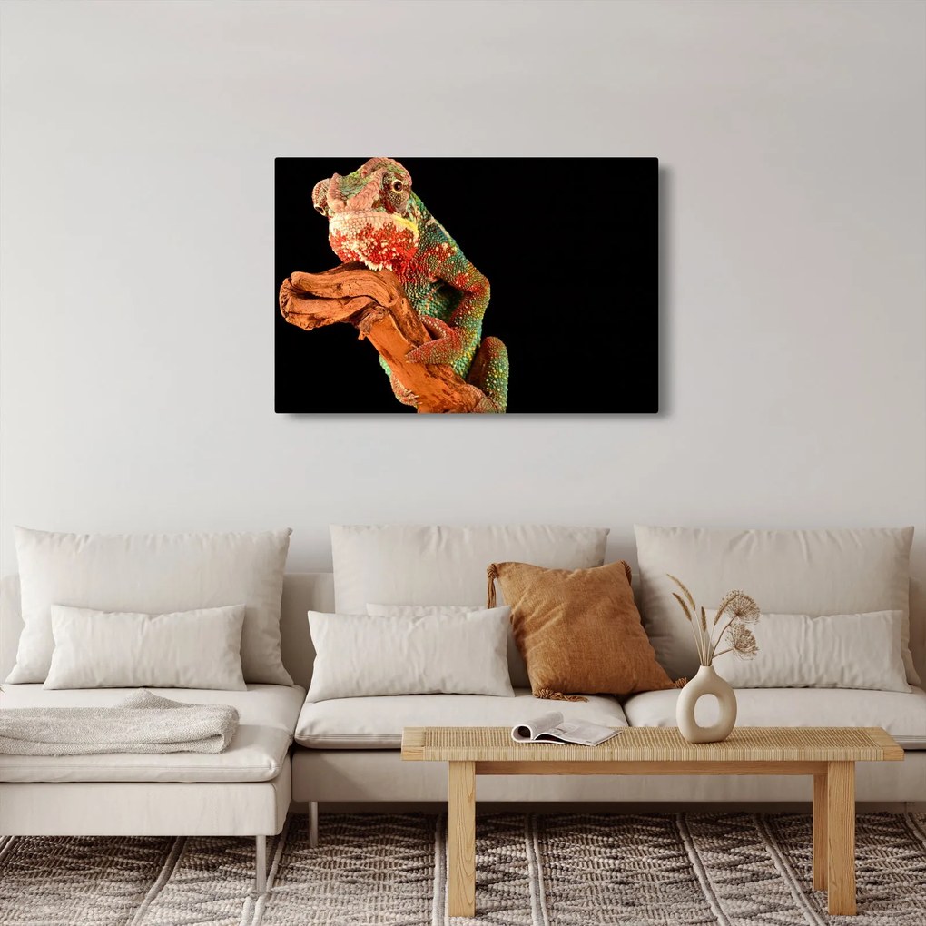 Tablou cu cameleon pe creangă (90x60 cm)