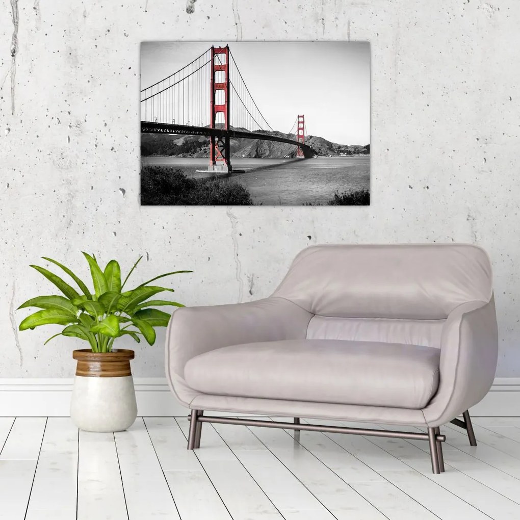 Tablou cu pod (70x50 cm)