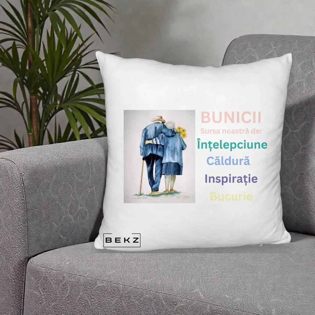 Cadou pentru Bunici - Perna Personalizata Bunicii Sursa Intelepciune Caldura Acuarela, 40x40 cm, Alb Pufos, Husa Detasabila, Perna Inclusa, BEKZ®