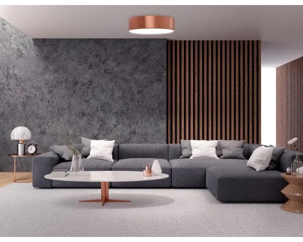 Plafonieră pentru baie CLEO 2xE27/24W/230V d. 30 cm cupru IP54