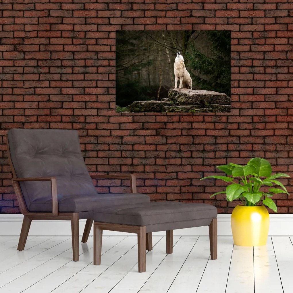 Tablou - Urletul lupului (70x50 cm)