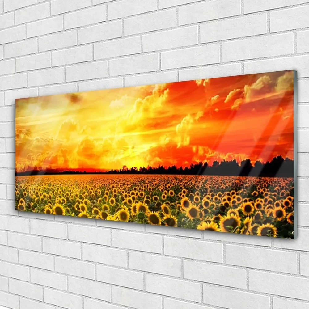 Tablouri acrilice Meadow Sunflowers Floral Verde Galben Maro