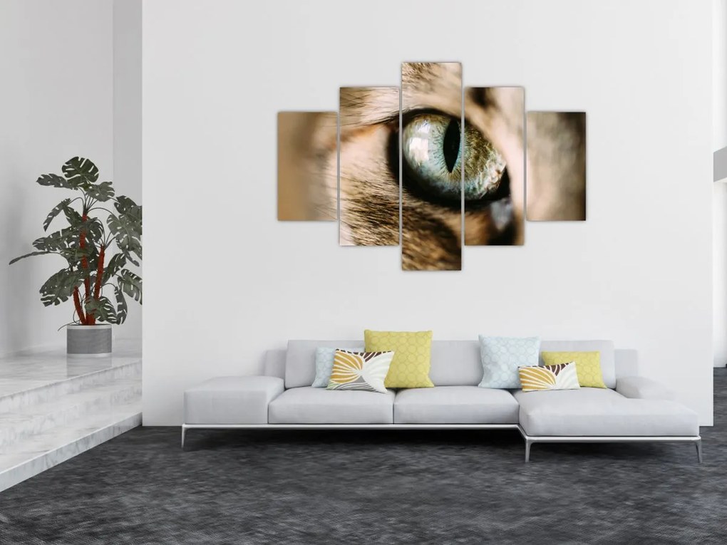 Tablou - Ochi de pisică (150x105 cm)