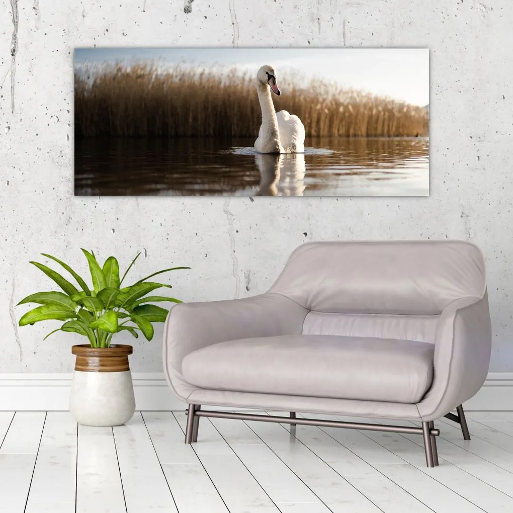 Tablou cu lebăda (120x50 cm)