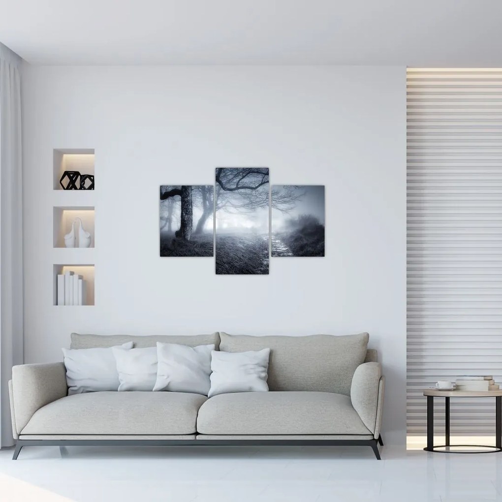 Tablou - Drum pin ceață (90x60 cm)