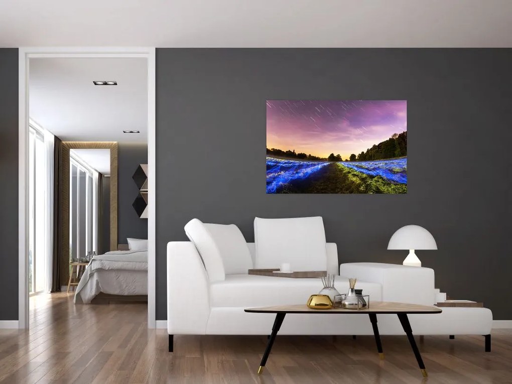 Tablou cu câmp colorat (90x60 cm)
