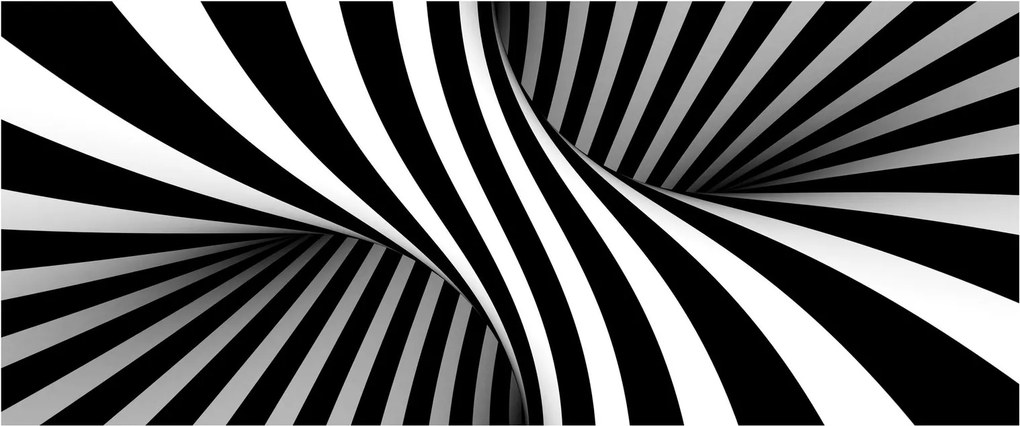 Tablou abstract cu dungi de zebră (120x50 cm)