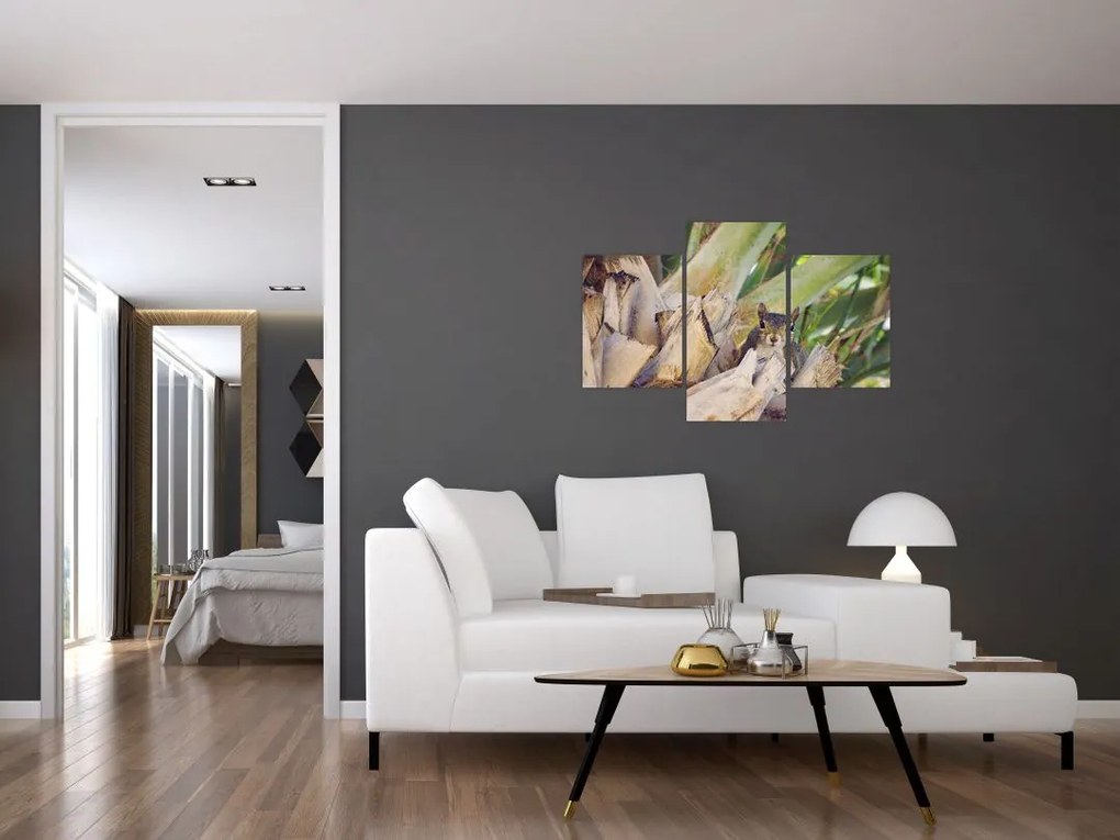 Tablou cu veverița în copaci (90x60 cm)