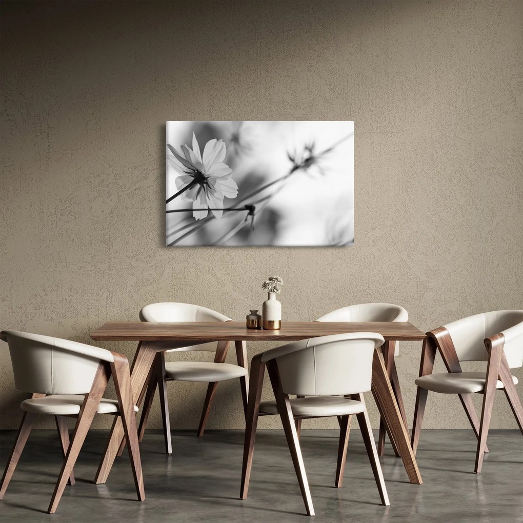 Tablou - Flori alb-negru (90x60 cm)