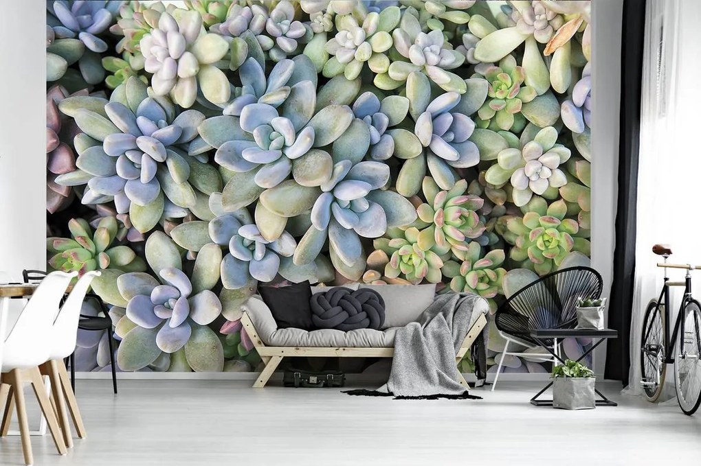 Fototapet - Plantă (152,5x104 cm)