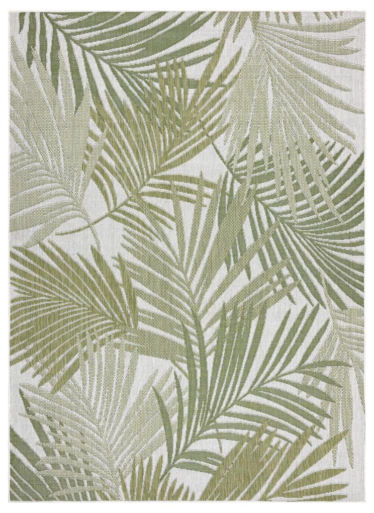 Covor SISAL SION frunze de palmier, tropical 2837 țesute plate ecru / verde